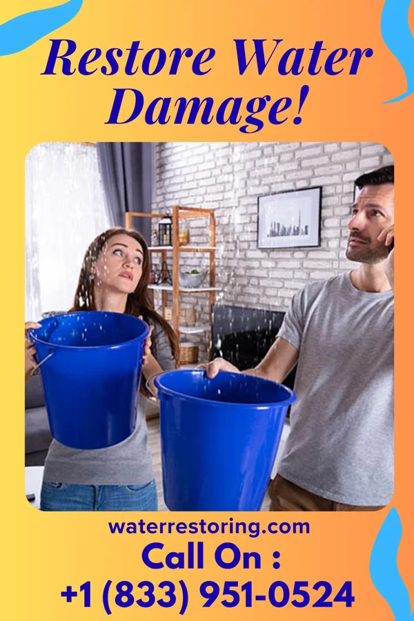 water restoration Platinum Disaster Cleanup Network Advance